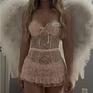 Victoria's Secret Sheer Lace Chemise in Light Pink